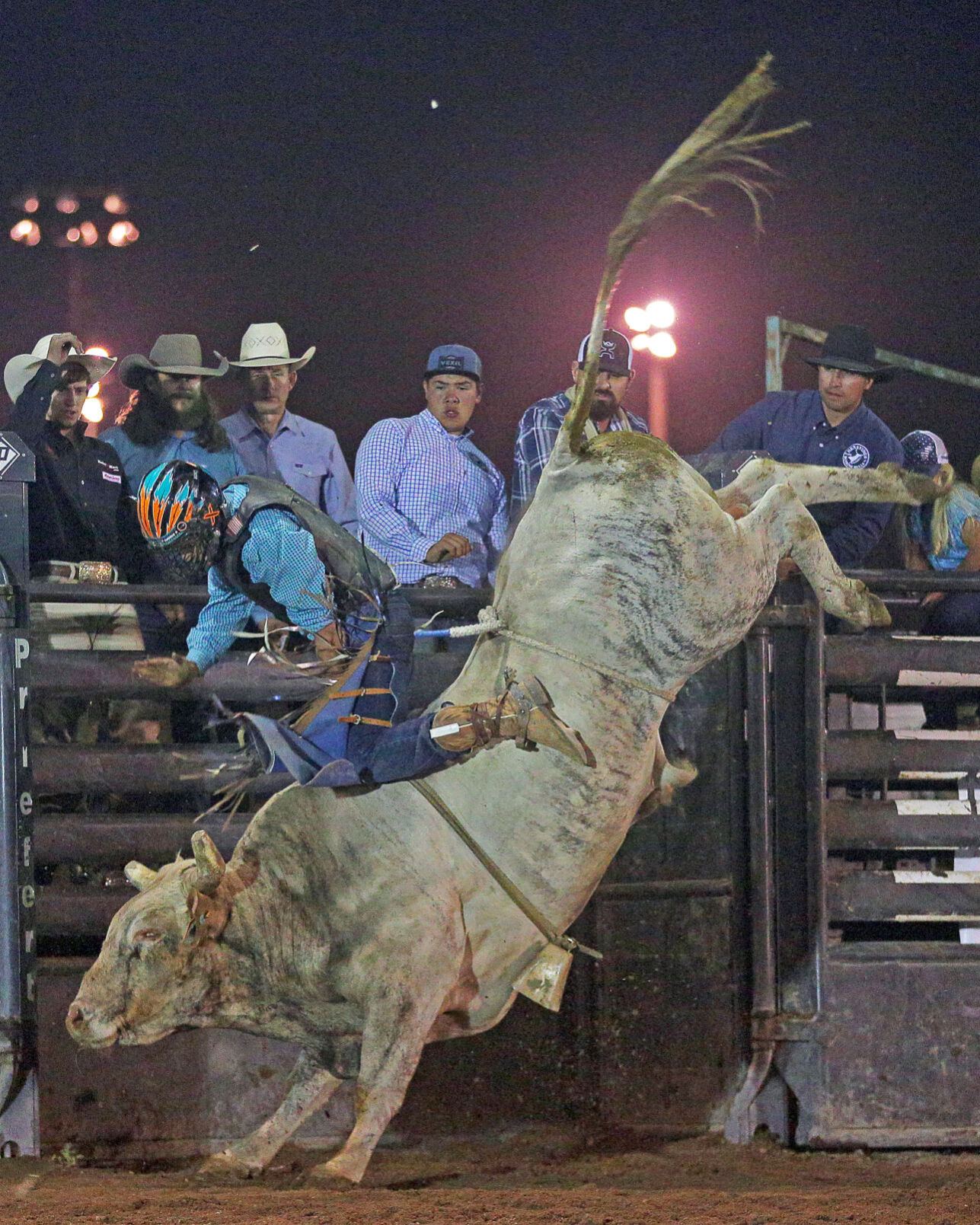 091520-elk-spt-gold-rush-lr-653.jpg